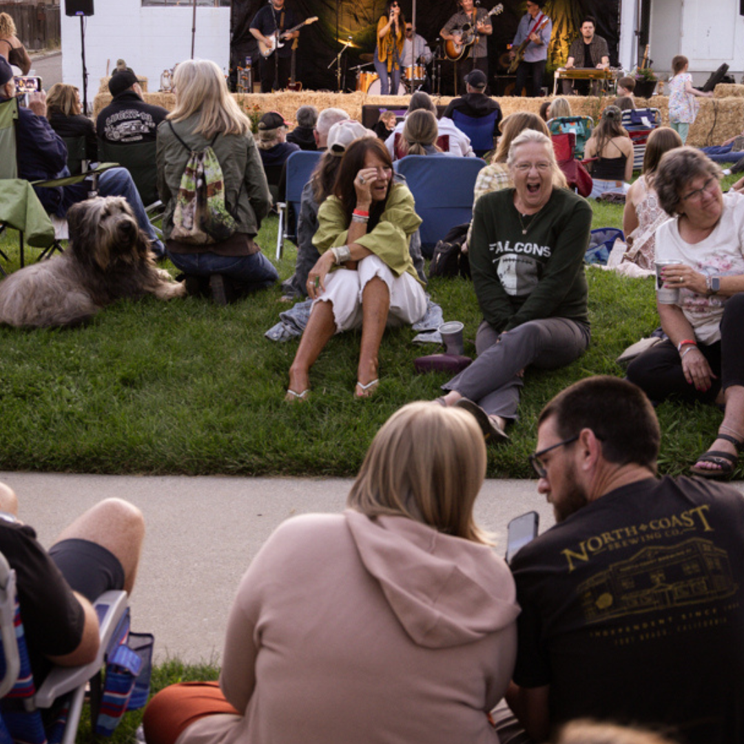 Full band on stage with the crowd sprawled across the grass