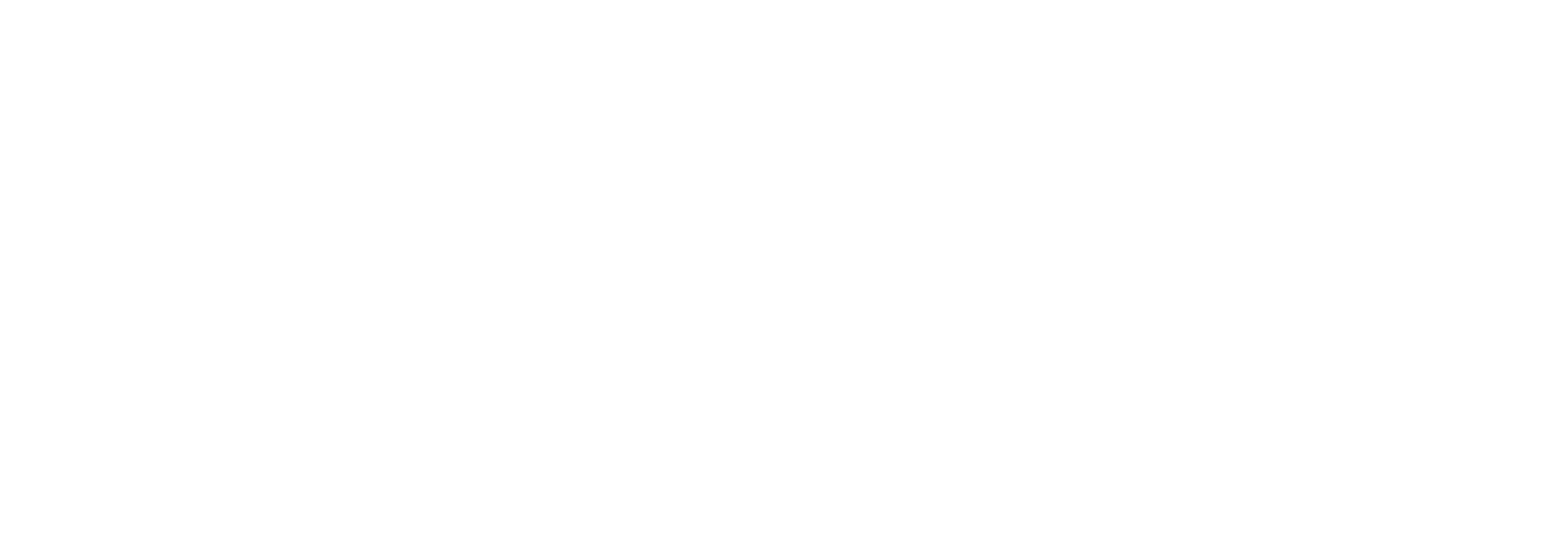 Levitt Family Foundation logo